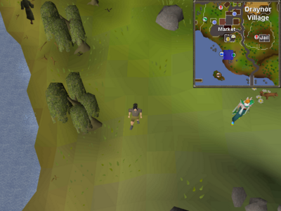 Map clue solution Draynor willows.png