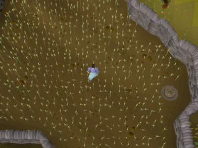 Think in middle of the wheat field by the Lumbridge mill..png