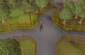 Emote clue - dance draynor crossroads.png